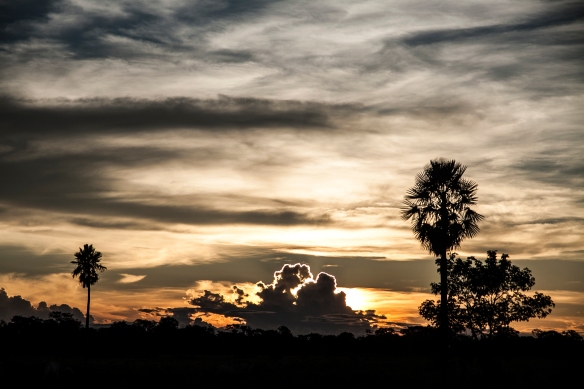 Jungle Sunset, Rurrenabaque, Bolivia 